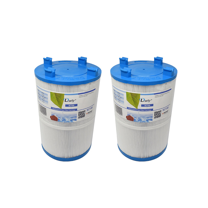 Spafilter Darlly SC730 2-pack - Bild 2